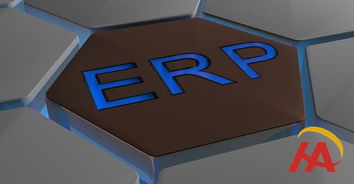 企业ERP选型之 定制化服务和集成方式